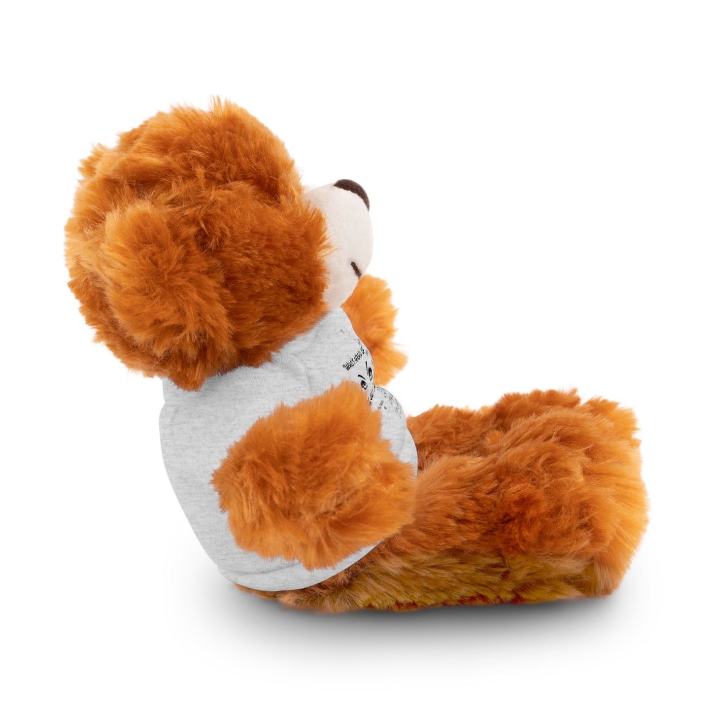 TTPD Inspired | Who’s Afraid / Little Old Me? | Plush Toy with T-Shirt (5 Colors, 6 Animals)